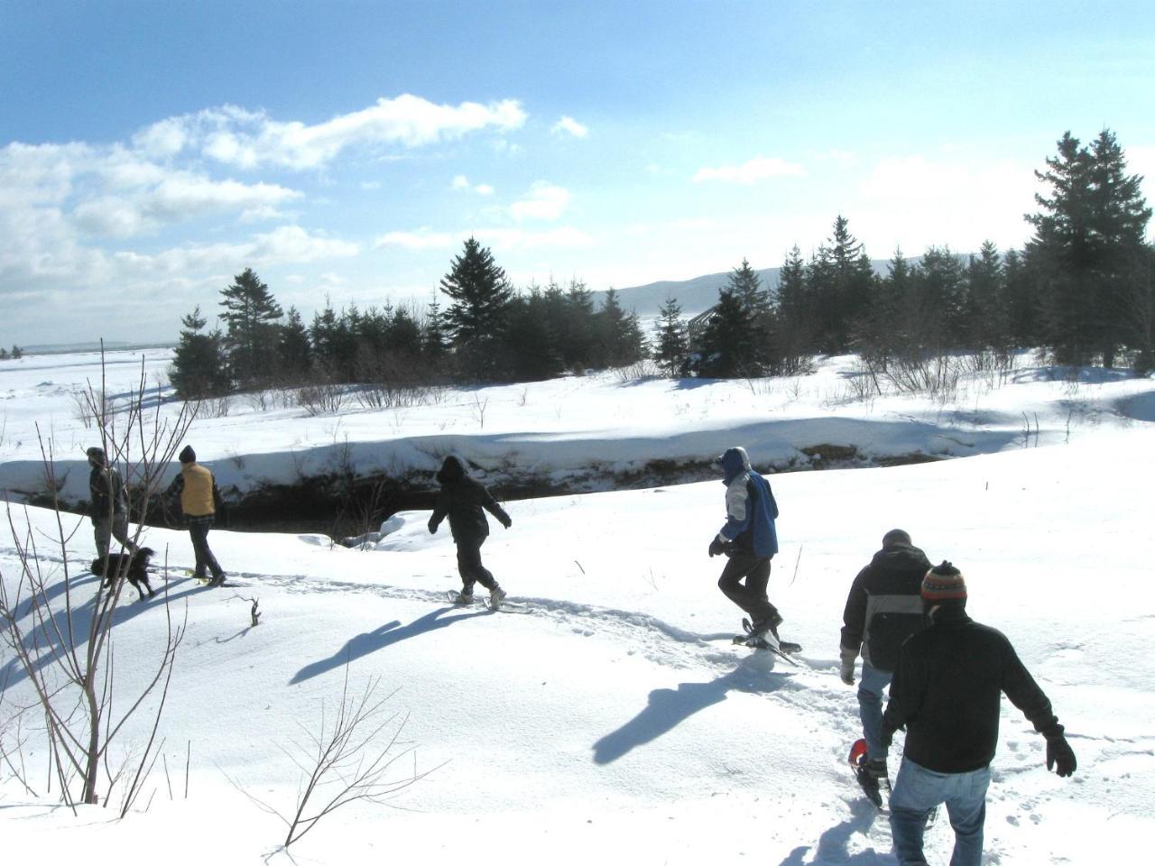 Cabot Shores Villa Indian Brook Buitenkant foto